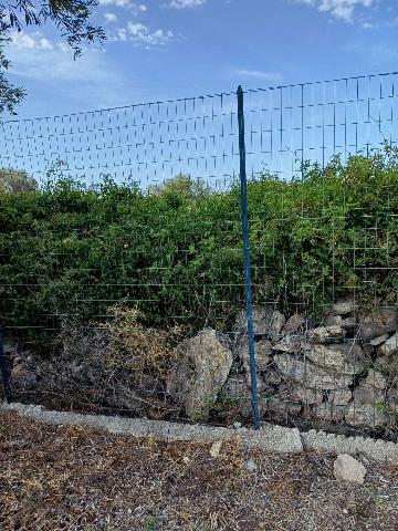 Terreno agricolo, Siracusa - Foto 1