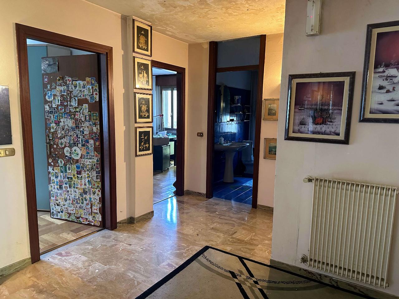 immagine annuncio 5 di 14
