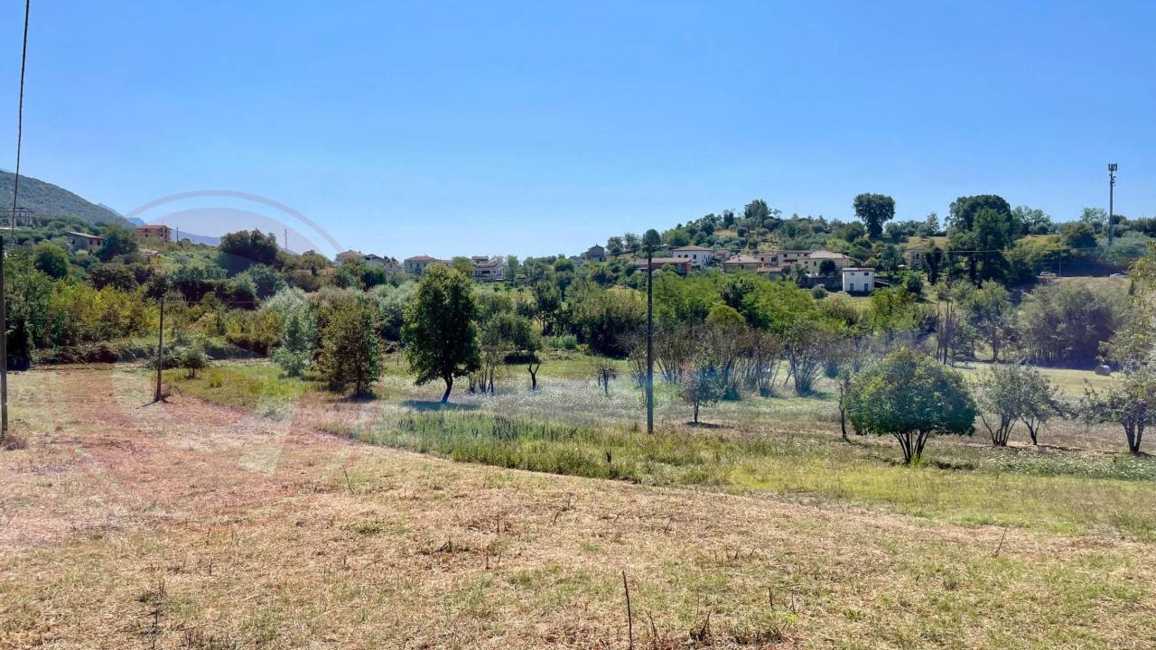 immagine annuncio 7 di 13