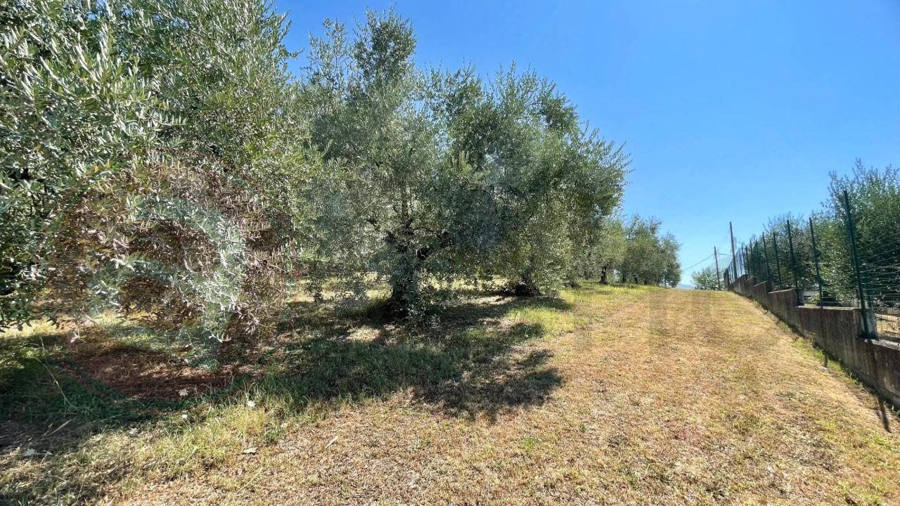 immagine annuncio 1 di 13