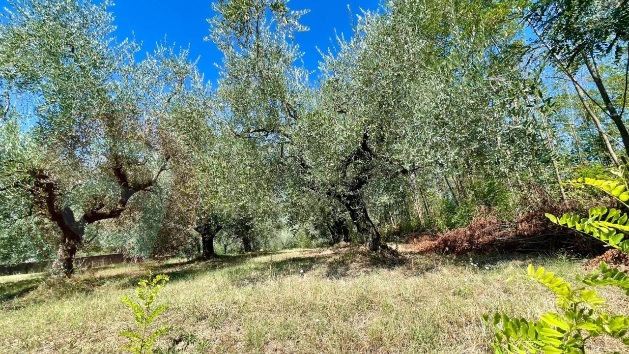immagine annuncio 10 di 13