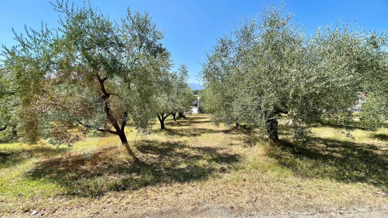 immagine annuncio 6 di 13