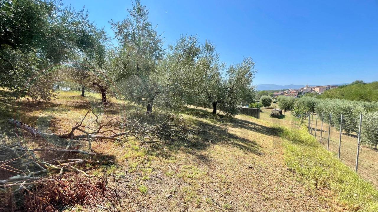 immagine annuncio 9 di 13