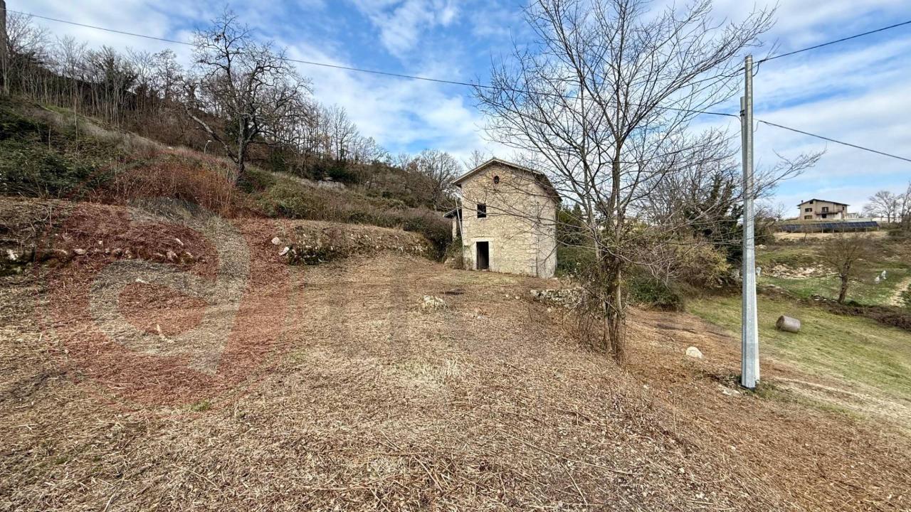 immagine annuncio 4 di 9