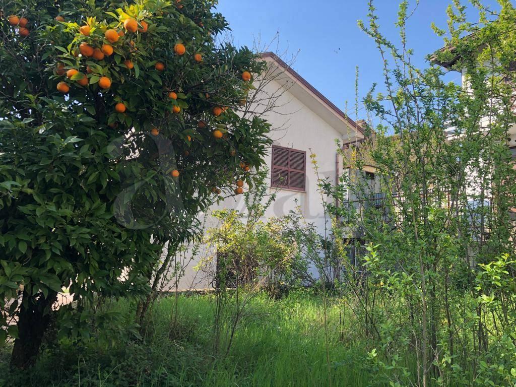 Casa indipendente in vendita a Monte San Giovanni Campano