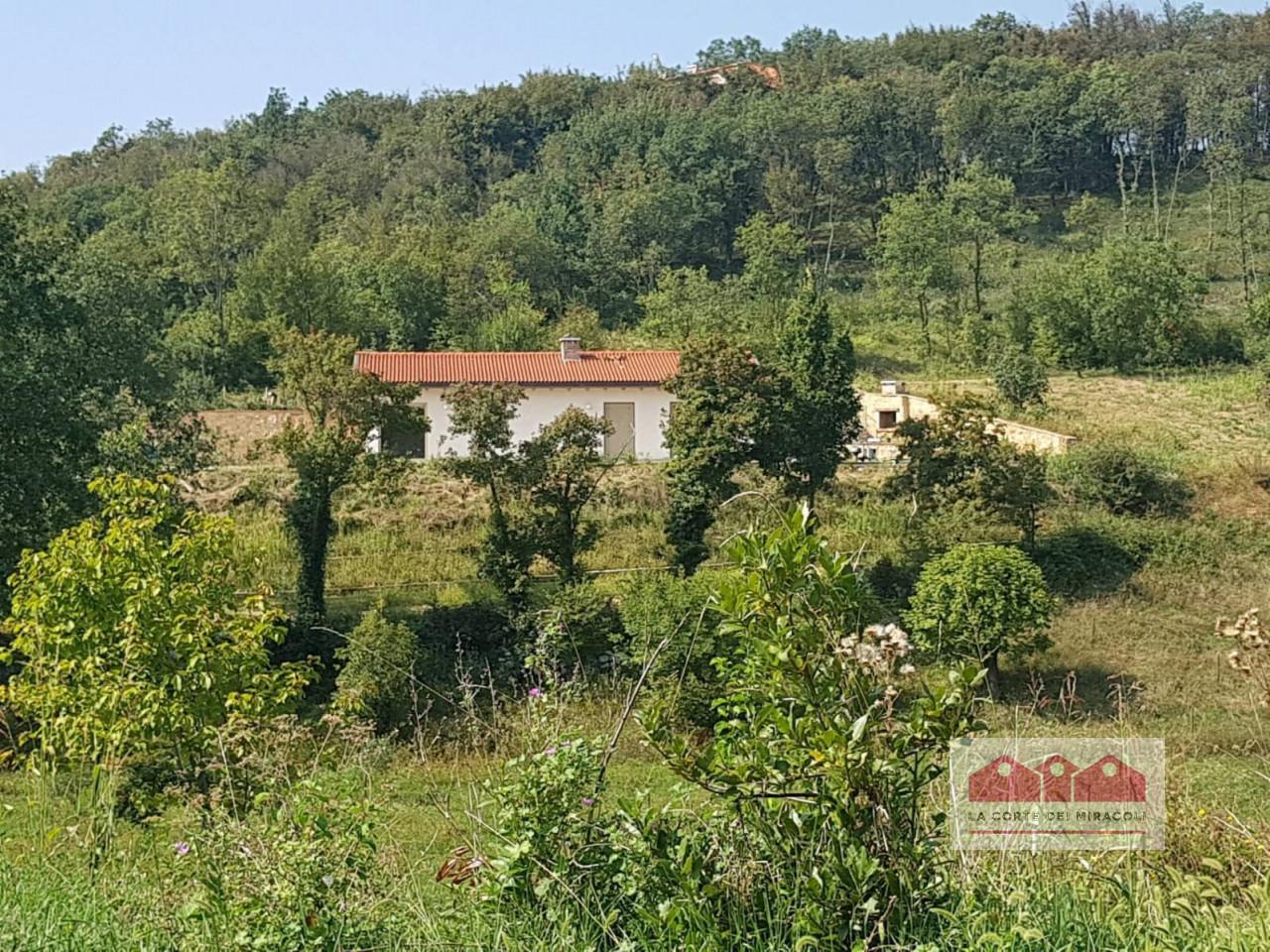 Casa indipendente in affitto a Zovencedo
