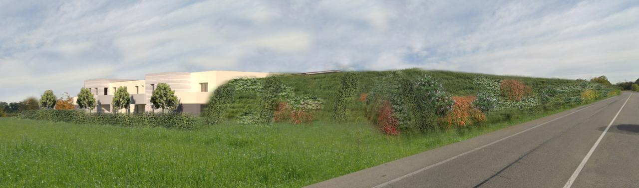 immagine annuncio 5 di 7