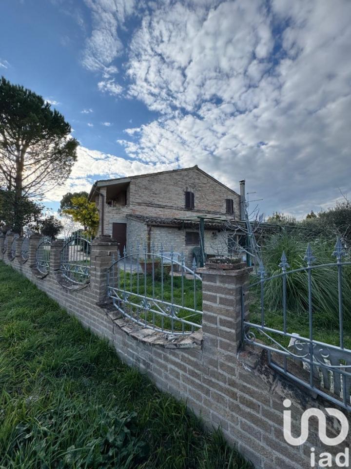 immagine annuncio 3 di 14