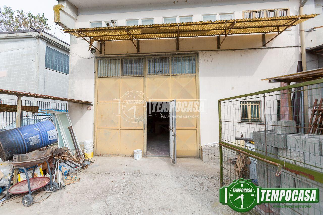 immagine annuncio 7 di 10