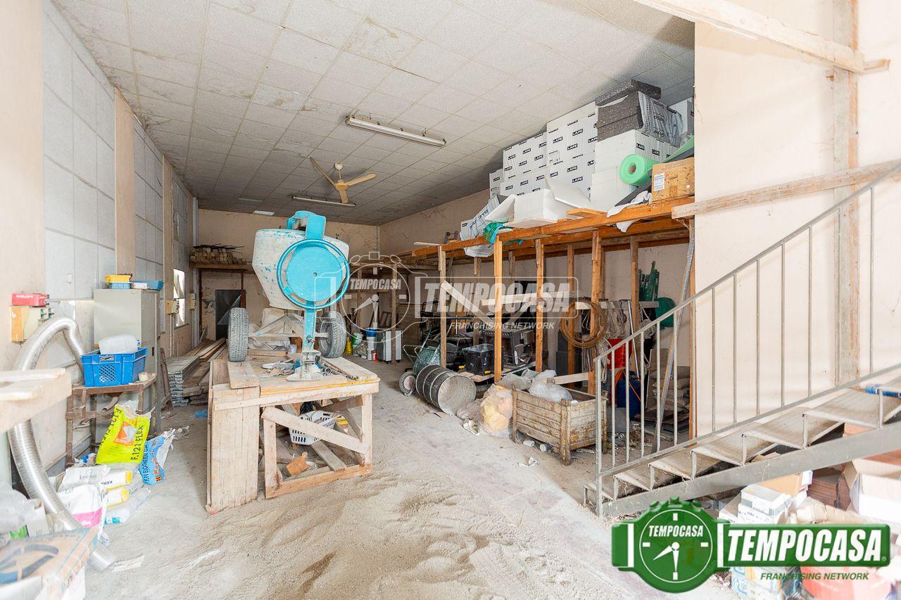 immagine annuncio 1 di 10