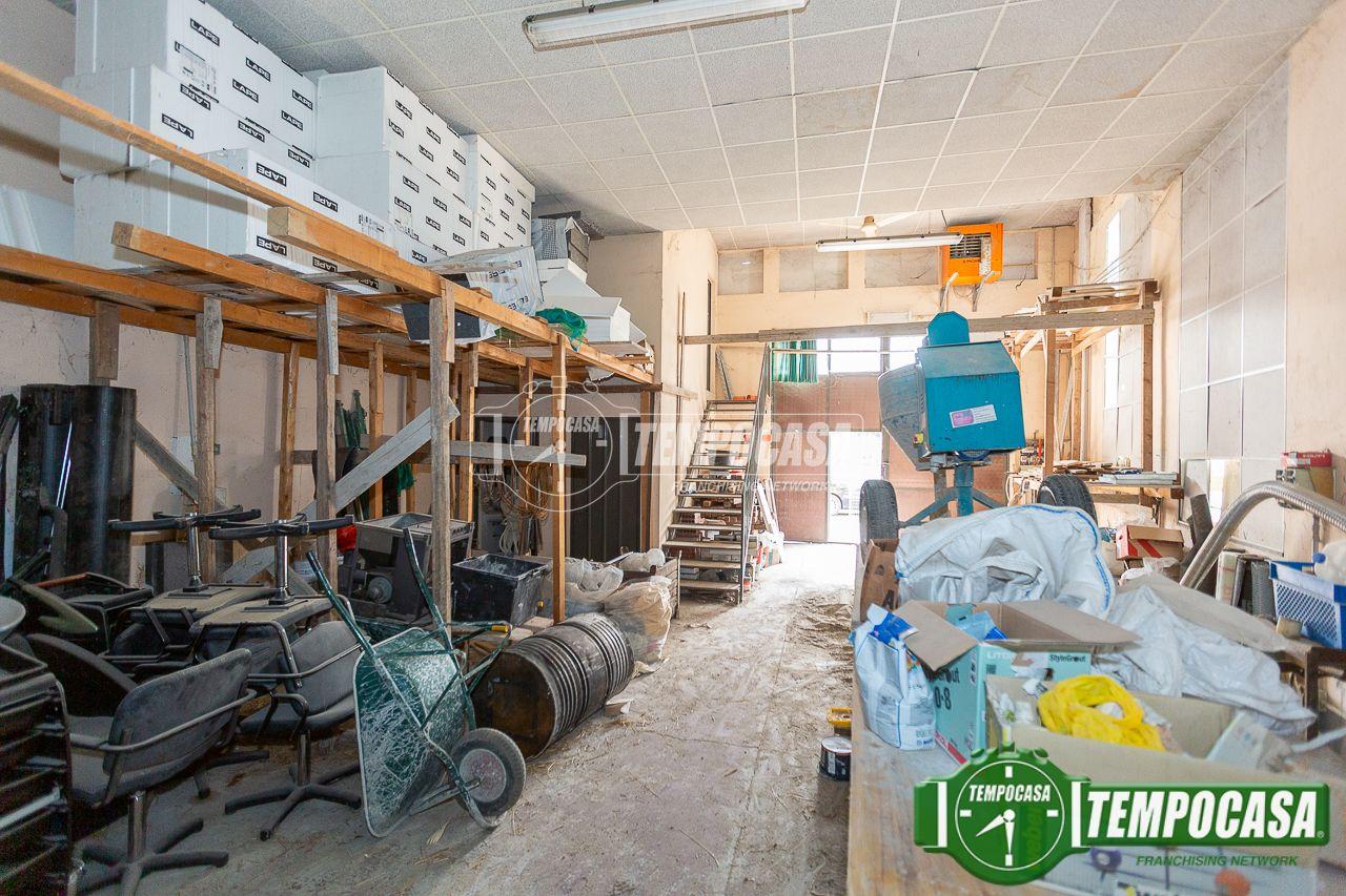 immagine annuncio 3 di 10