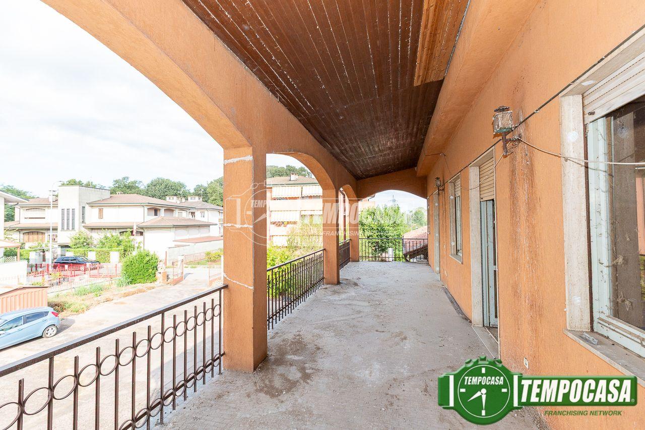 immagine annuncio 12 di 15