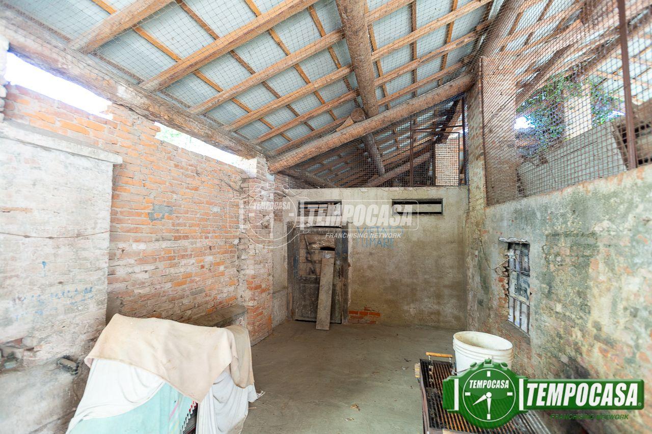 immagine annuncio 6 di 11