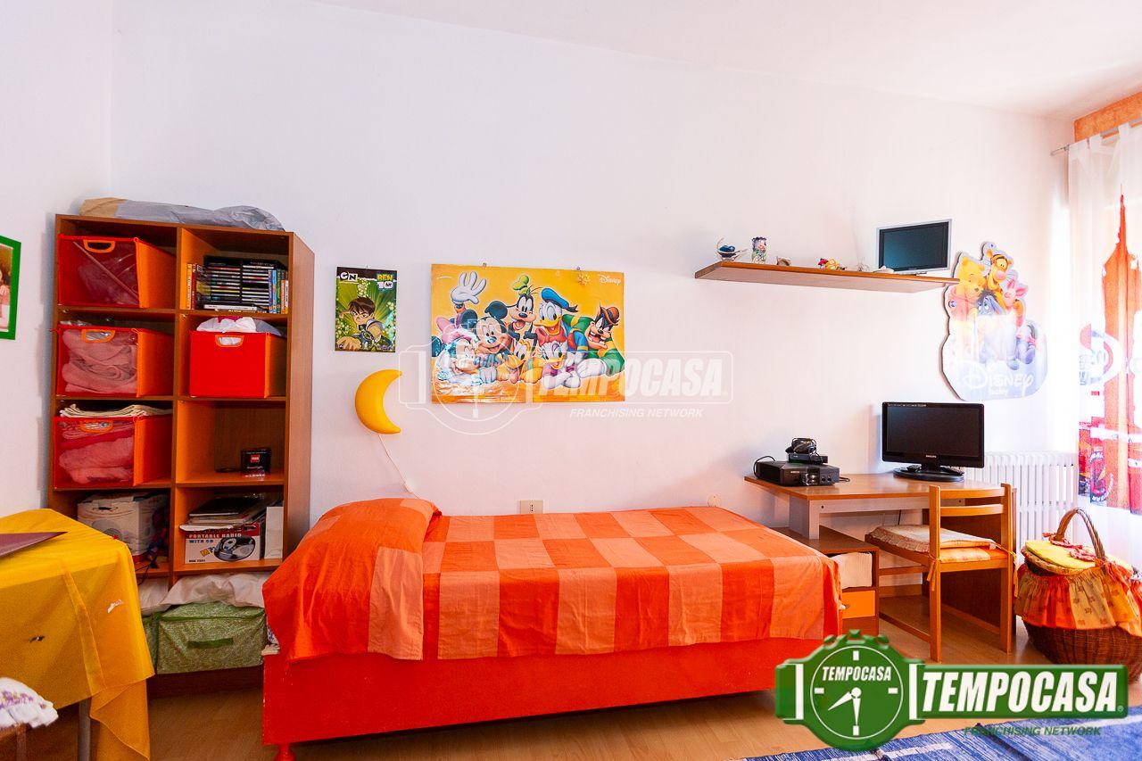 immagine annuncio 9 di 14