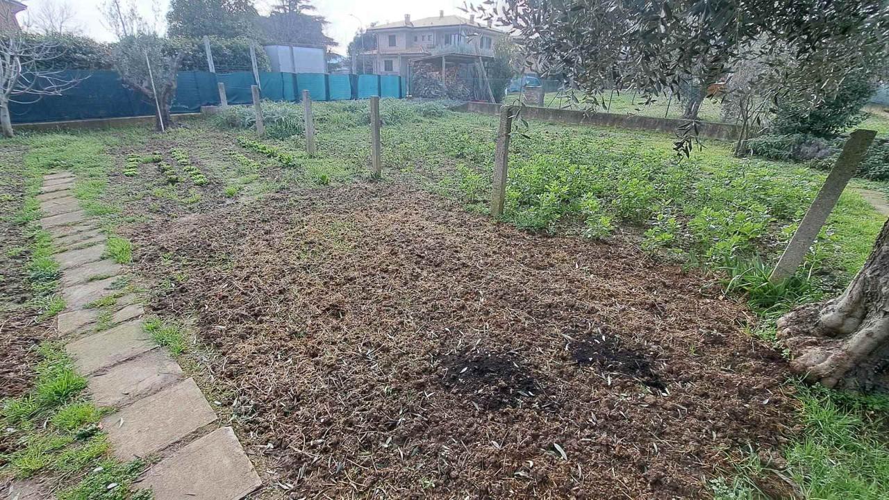 immagine annuncio 5 di 9