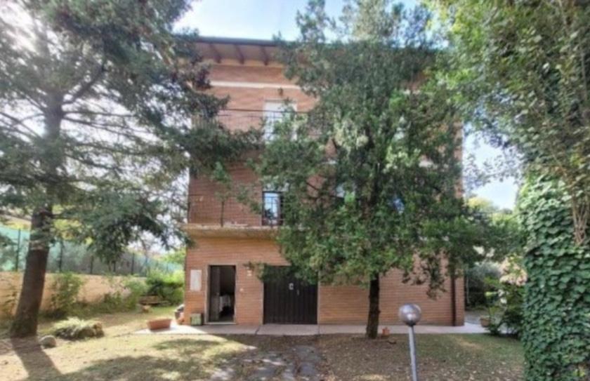 immagine annuncio 10 di 13