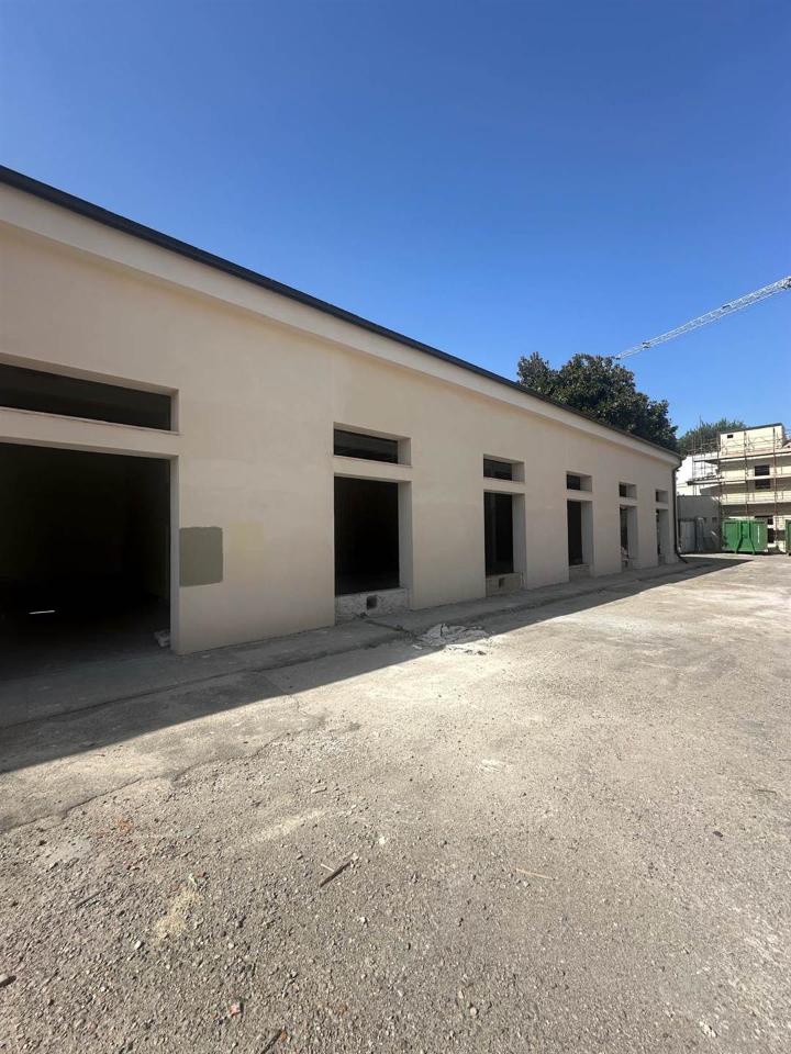 immagine annuncio 7 di 11