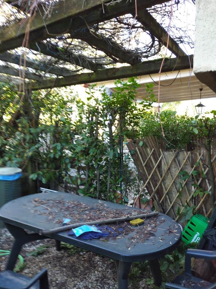 immagine annuncio 10 di 15