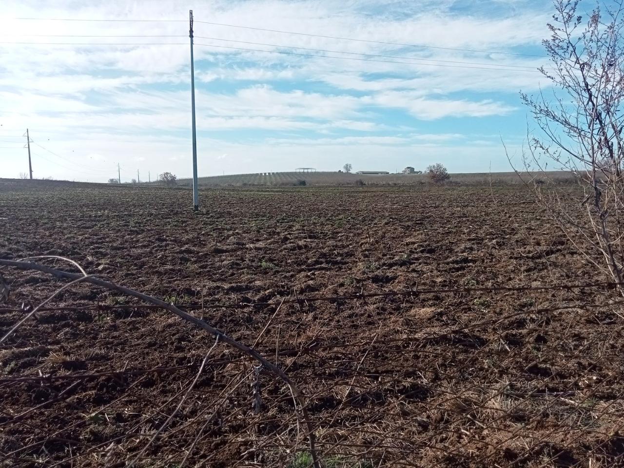 Terreno agricolo in vendita a Viterbo