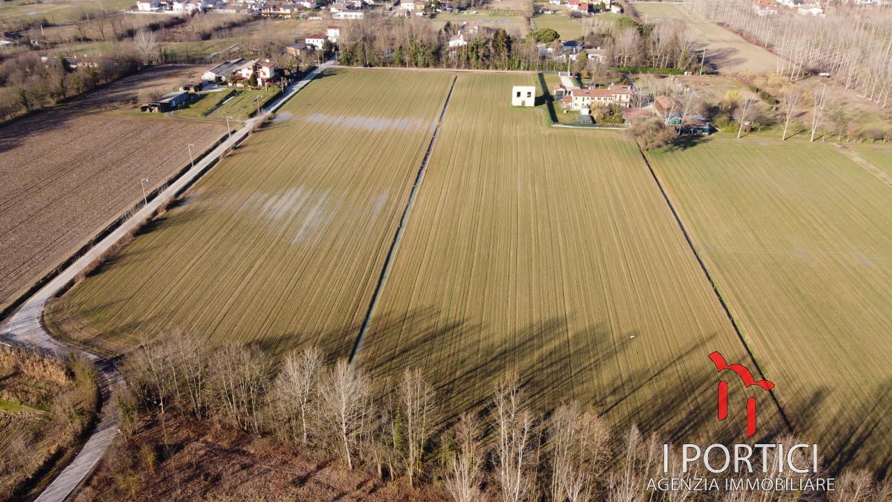 immagine annuncio 4 di 6