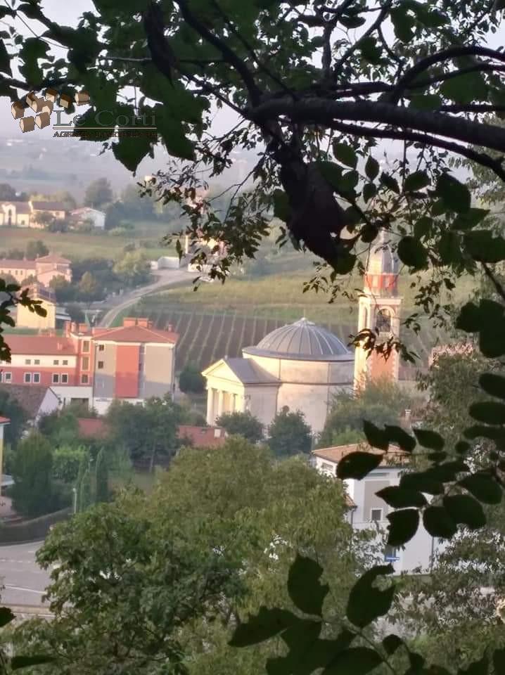 Terreno edificabile residenziale in vendita a Alonte