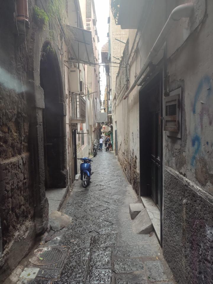 immagine annuncio 1 di 12