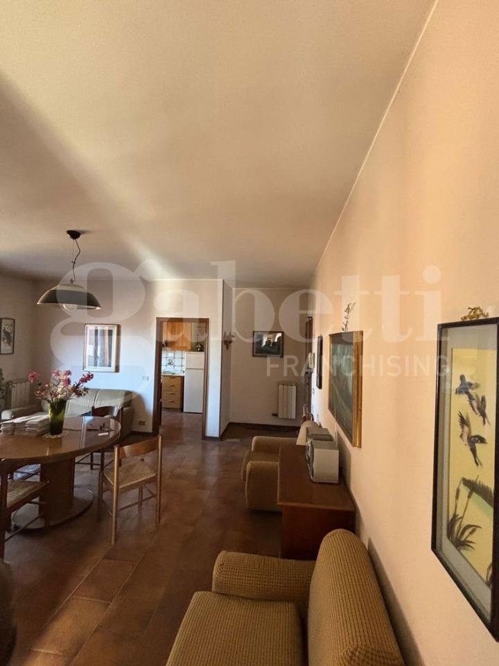 immagine annuncio 2 di 7