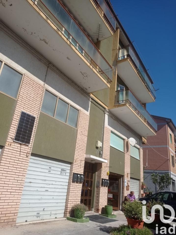 immagine annuncio 11 di 13