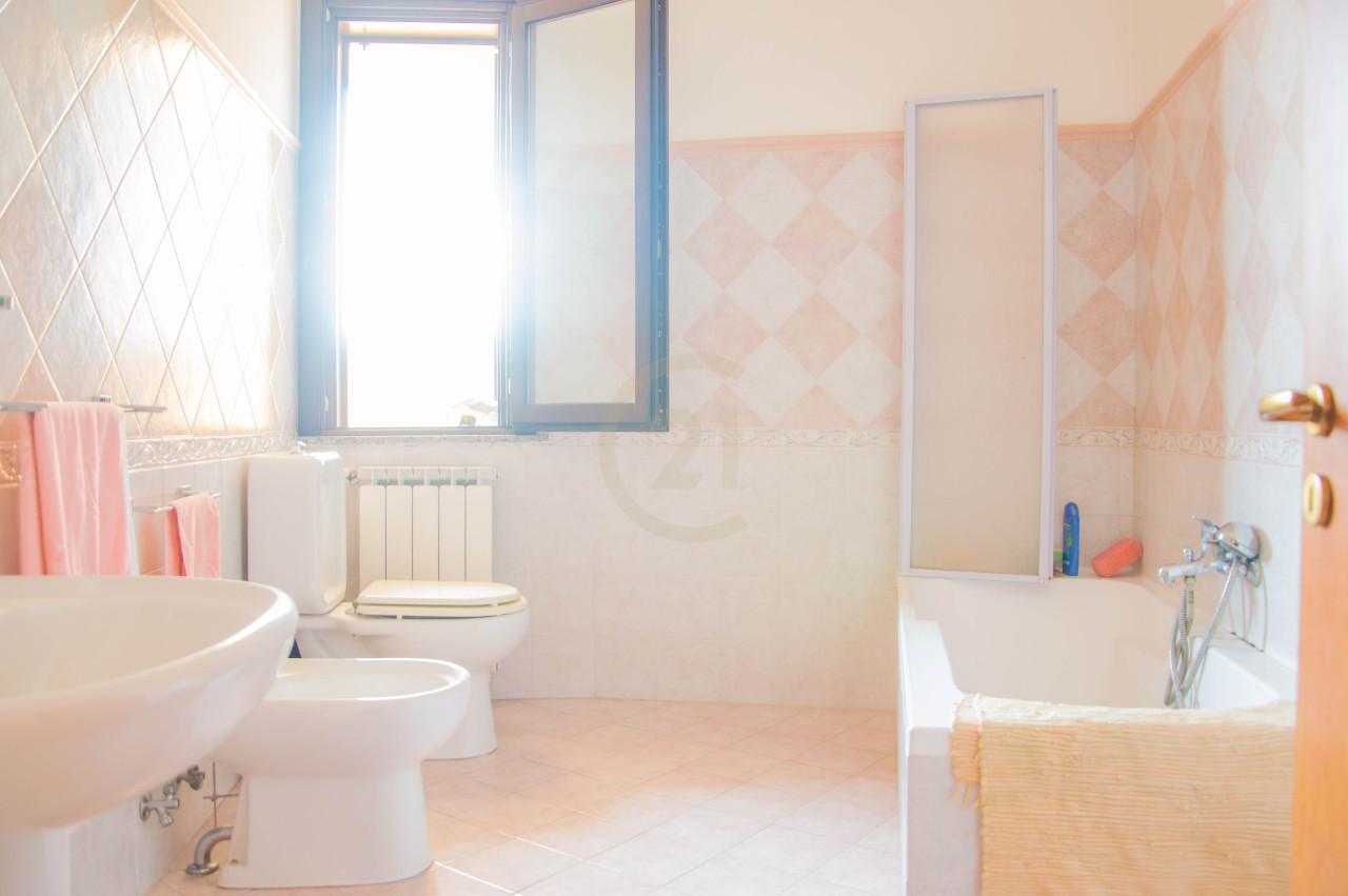 immagine annuncio 9 di 14