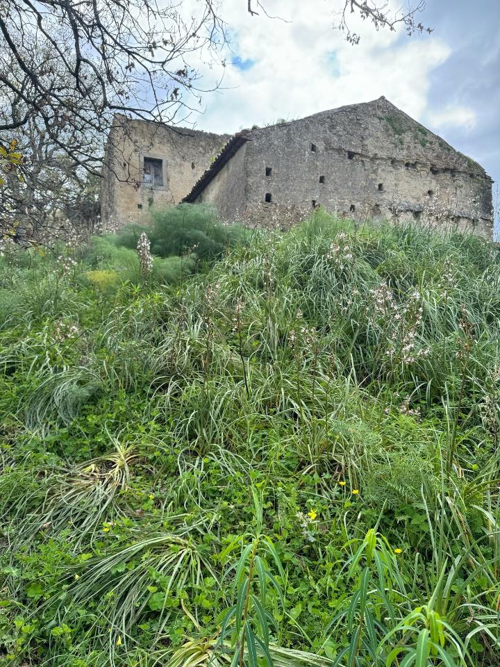 immagine annuncio 4 di 8
