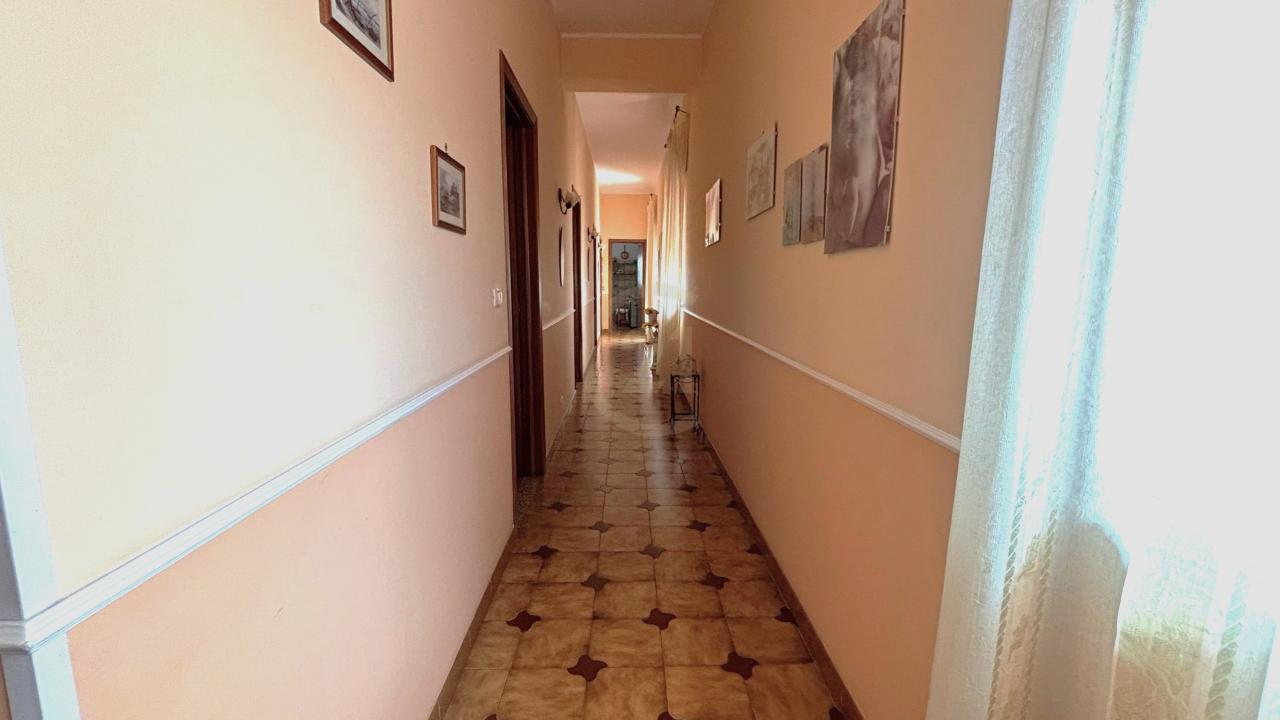 immagine annuncio 5 di 14