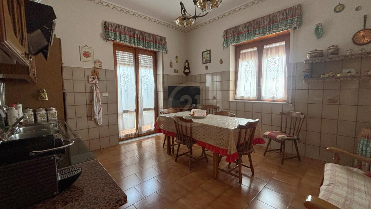 immagine annuncio 9 di 14