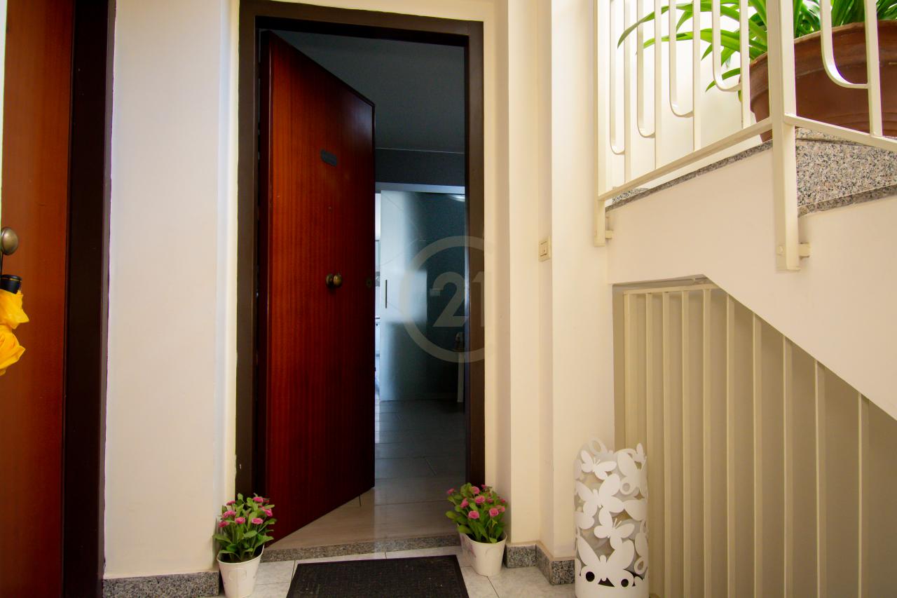 immagine annuncio 11 di 14