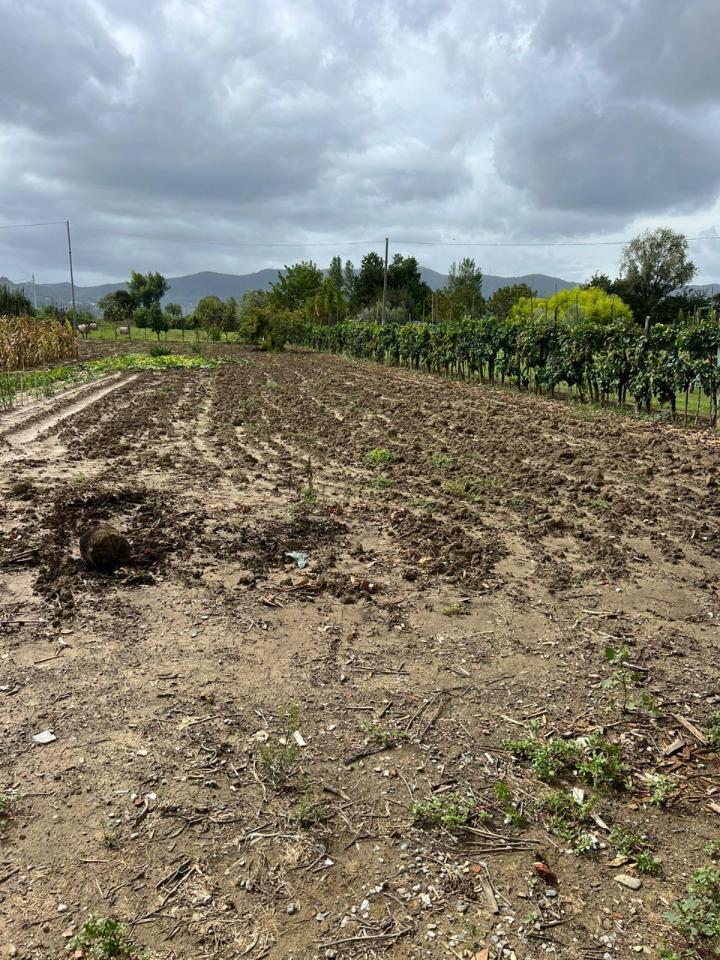 immagine annuncio 10 di 13