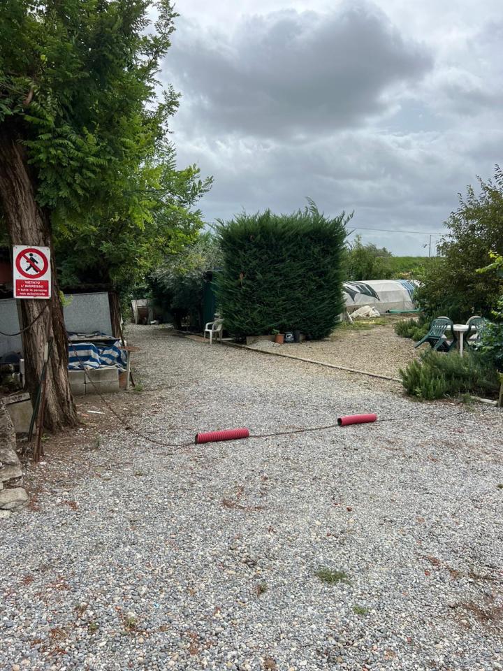 immagine annuncio 7 di 13