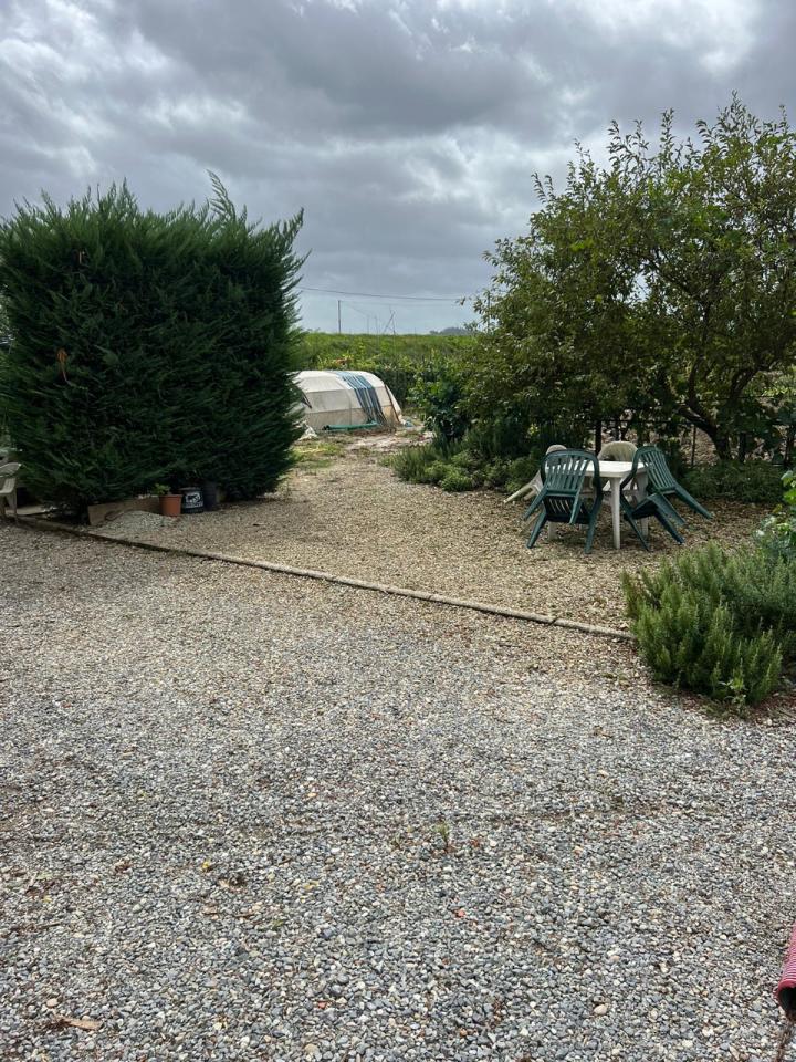 immagine annuncio 11 di 13