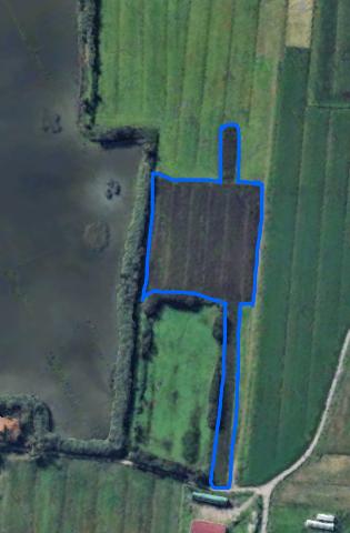 insertion image