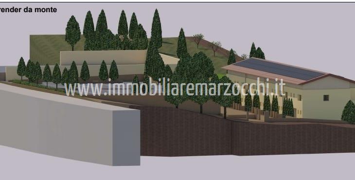 immagine annuncio 4 di 6