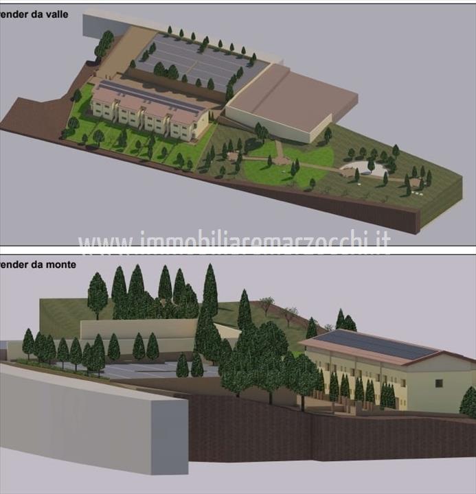 immagine annuncio 3 di 6