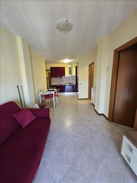 immagine annuncio 2 di 12