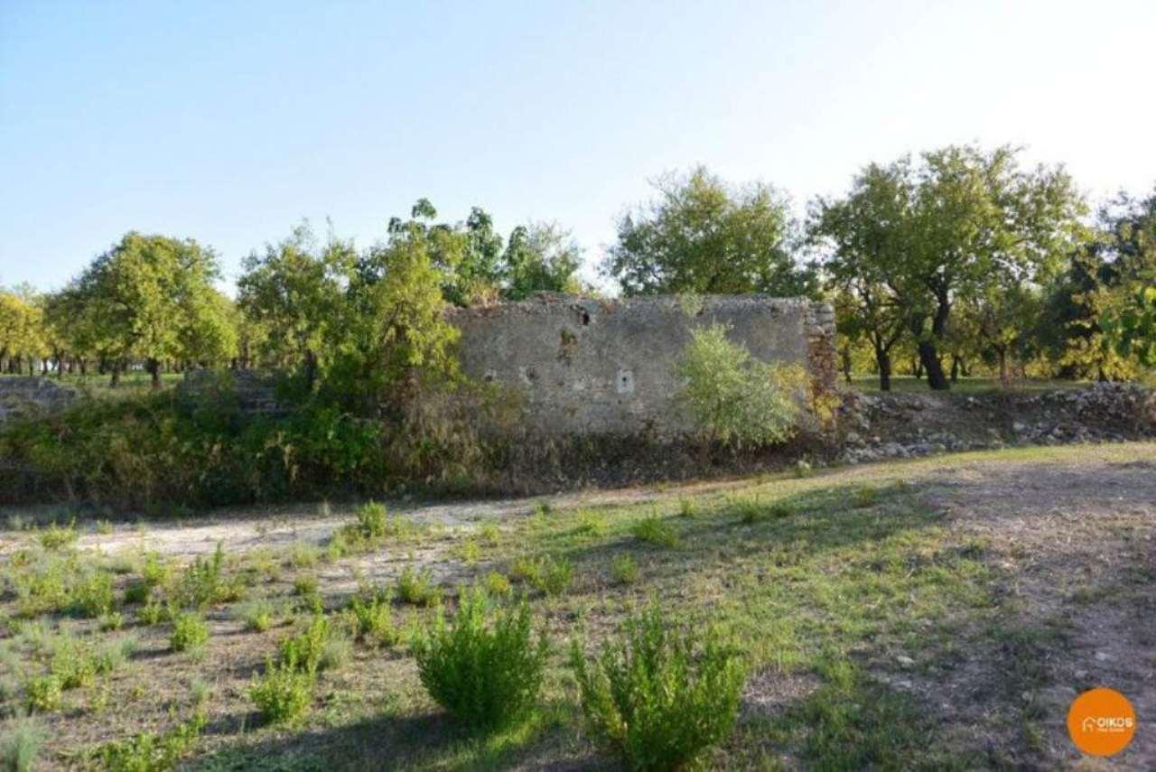 immagine annuncio 10 di 13