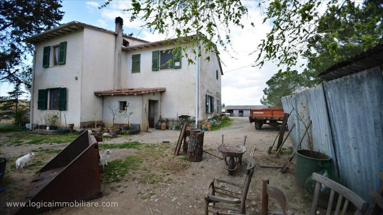 Azienda agricola in Strada Statale 323, Scansano, {3} - Foto 2