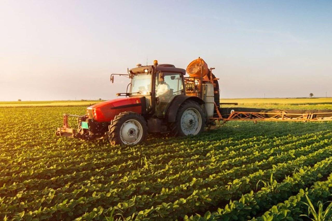 Terreno agricolo in vendita a Pontelongo