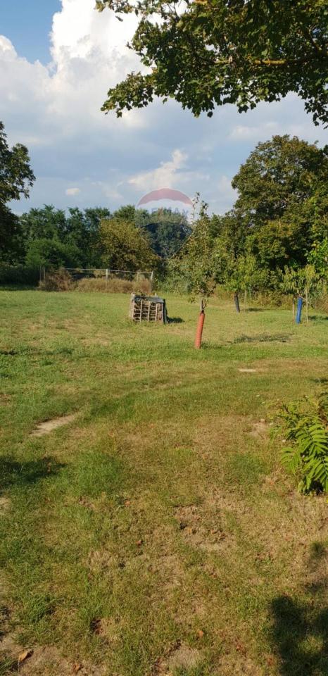 Terreno agricolo in vendita a Montevarchi