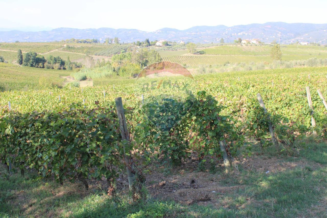 Terreno agricolo in vendita a Vinci