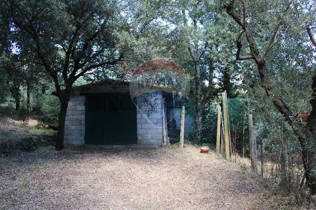 Agricultural land in {3}, Strada Provinciale 43 - Photo 1