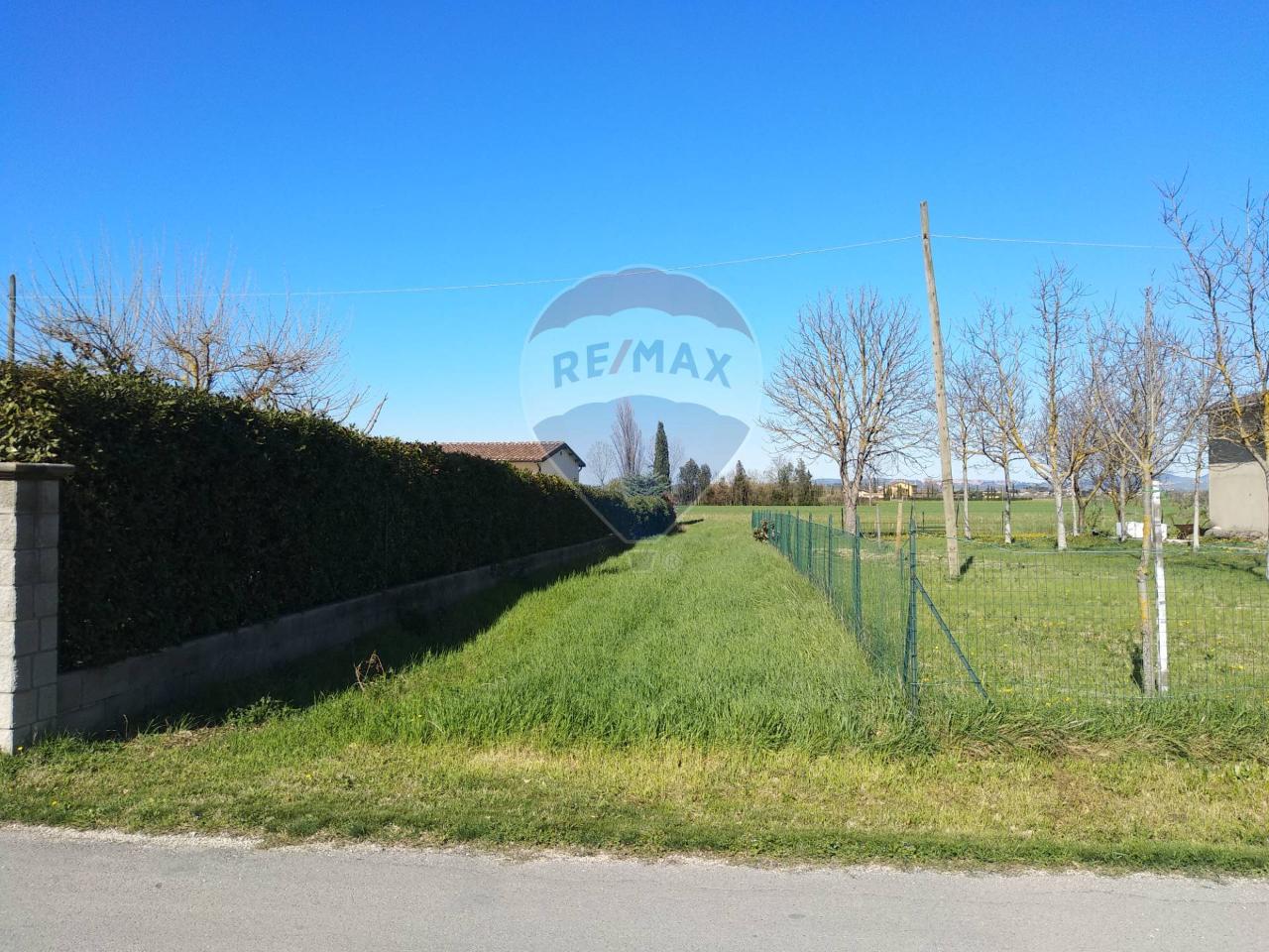 Terreno agricolo in vendita a Assisi