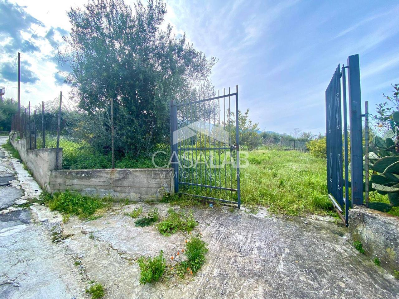 immagine annuncio 1 di 6