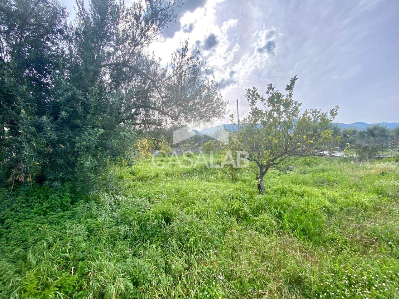 immagine annuncio 4 di 6