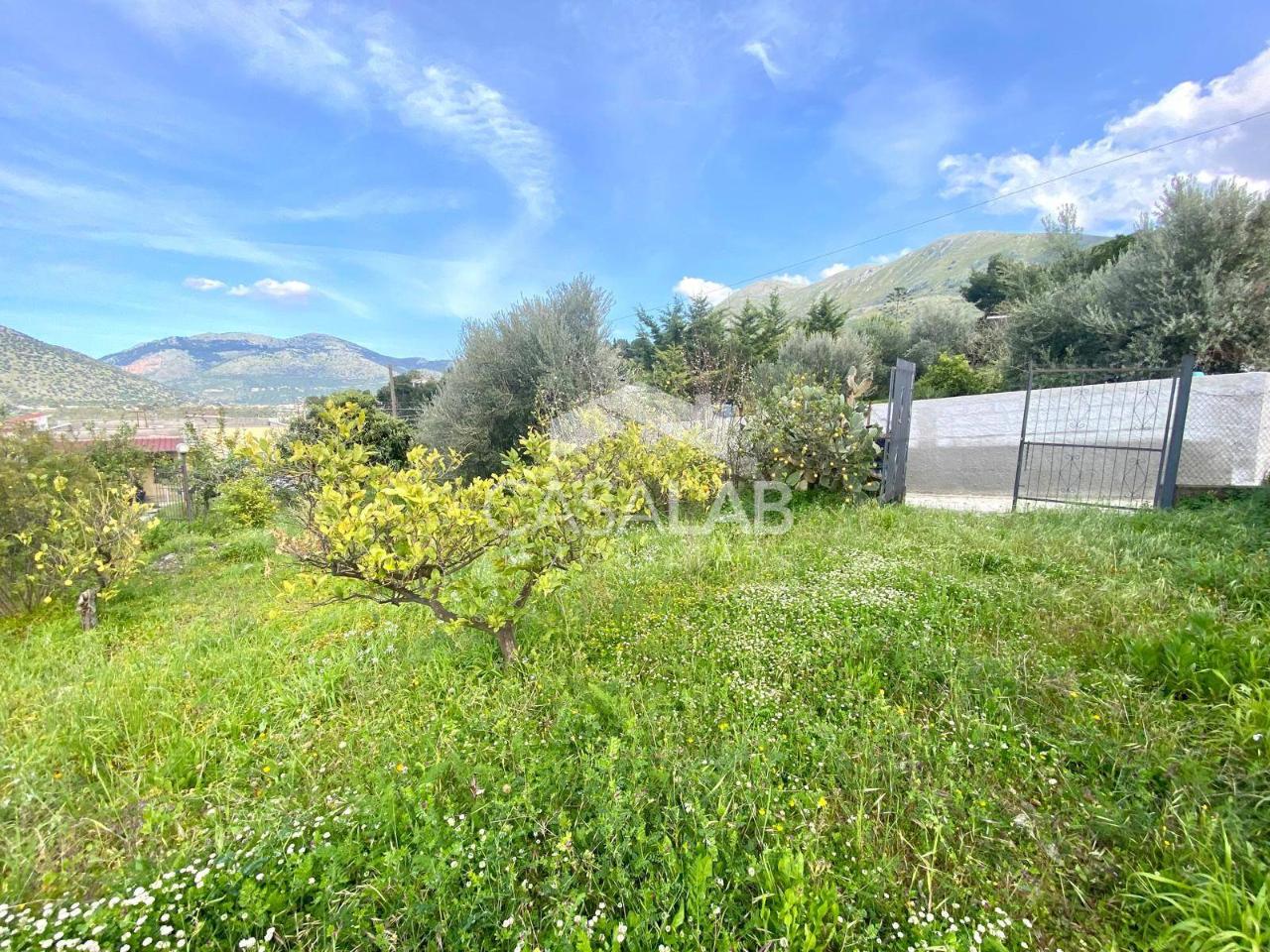 immagine annuncio 5 di 6